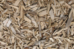 biomass boilers Moulzie